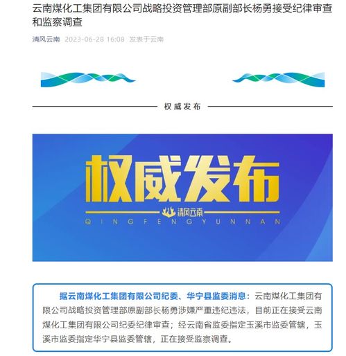 云南煤化工集团有限公司战略投资管理部原副部长杨勇被查